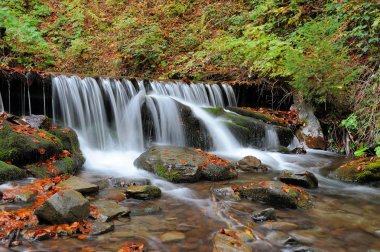 sonbahar orman şelale