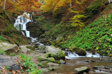 Orman şelale ve kayalar 