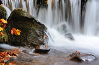 sonbahar orman şelale