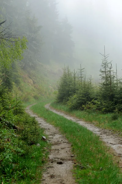 Camino de montaña con niebla —  Fotos de Stock