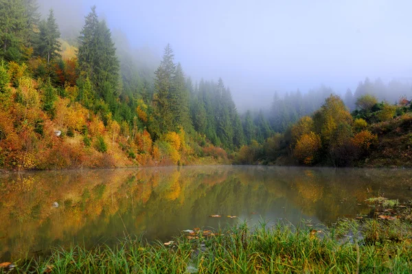 Lesní jezero podzim — Stock fotografie