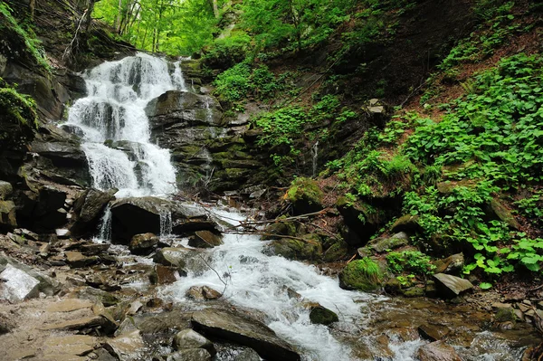 Forest waterfall and rocks — Stock Photo, Image