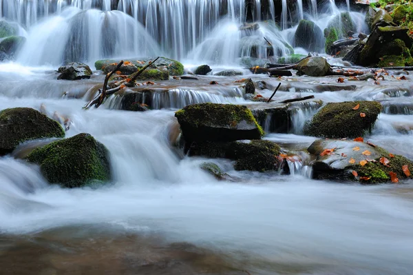 Cascata forestale e rocce — Foto Stock