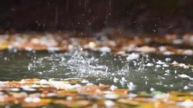Küçük, manzaralı bir şelaleden huzur içinde akan bir nehrin yavaş akışı.