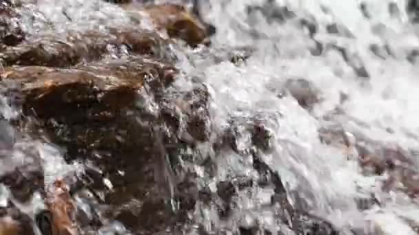 Slow motion of a river cascading peacefully down a small, scenic waterfall — Stock Footage Slow Motion River Cascading Peacefully Small Scenic Waterfall Video Clip