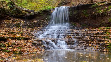Sonbahar ormanında güzel çağlayan şelale, ipeksi pürüzsüz dere