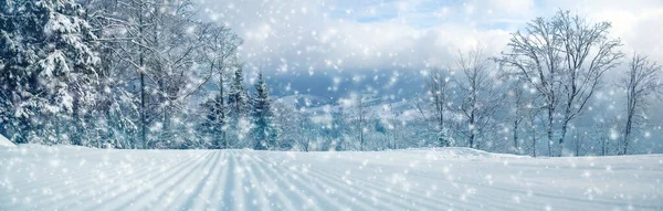 Bela Paisagem Panorâmica Inverno Com Árvores Cobertas Neve — Fotografia de Stock