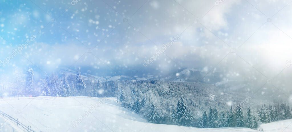 Beautiful winter panorama landscape with snow covered trees