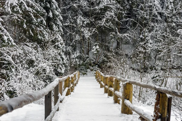 強い降雪後の雪に覆われた木製の橋 冬のモミや松林 美しい風景 — ストック写真