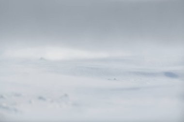 Karlı tarlaları olan güzel bir kış arkaplanı. Doğal kış dokusu. Karlı yüzeyde rüzgar