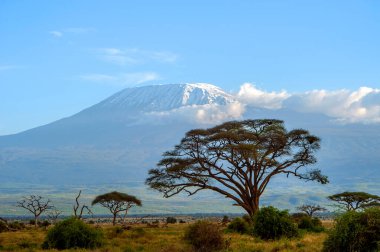 Amboseli 'deki Kilimanjaro Dağı' nın tepesinde kar yağıyor.