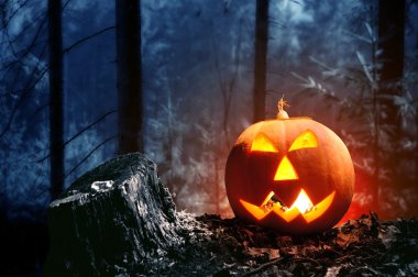 Cadılar Bayramı Balkabağı