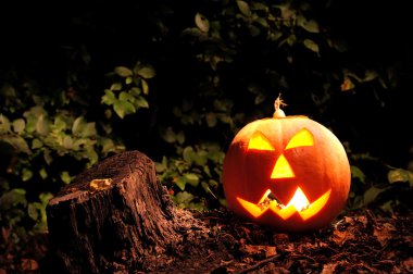 Cadılar Bayramı Balkabağı