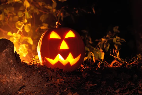 Zucca di Halloween — Foto Stock