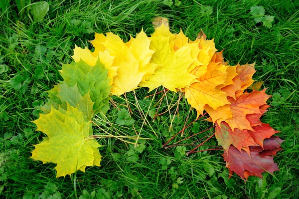 Hoja de otoño —  Fotos de Stock