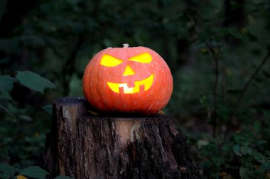 Cadılar Bayramı Balkabağı