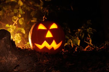 Cadılar Bayramı Balkabağı