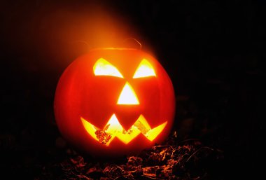 Cadılar Bayramı Balkabağı