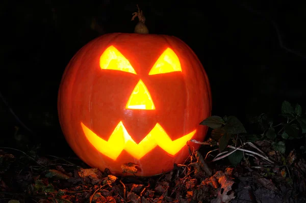 Zucca di Halloween — Foto Stock