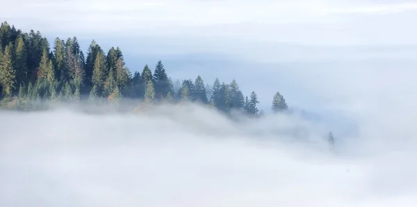 Herbstwald am Berghang — Stockfoto