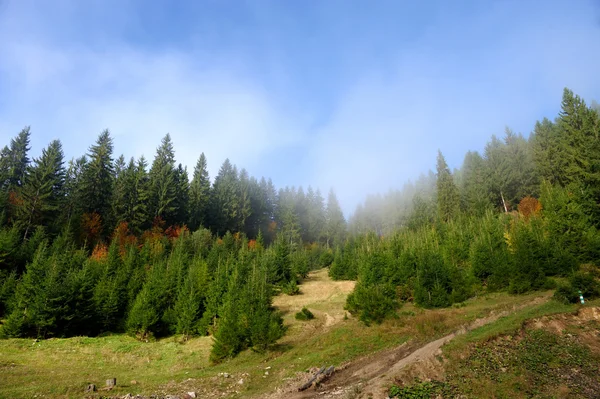 Höstens scen med berg — Stockfoto