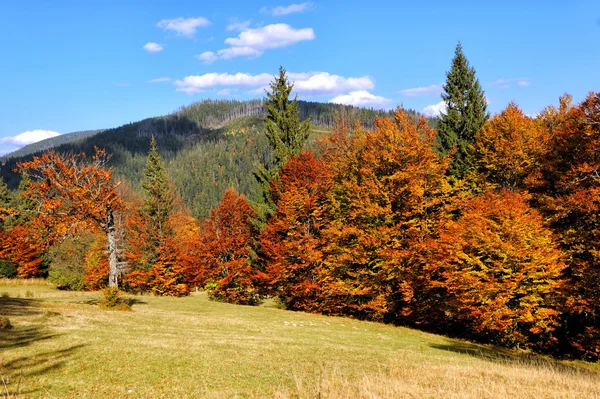Herbstlandschaft mit Bergen — Stockfoto