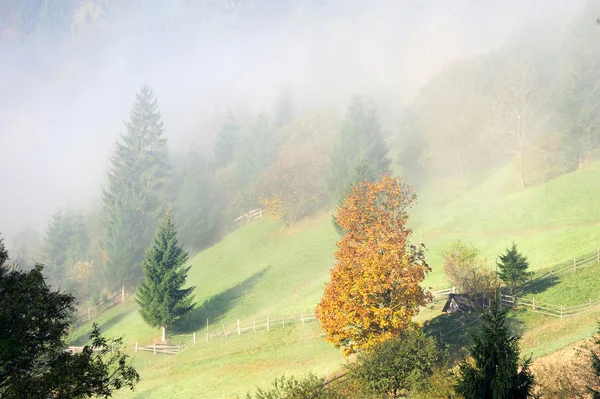 Escena de otoño con montañas — Foto de Stock