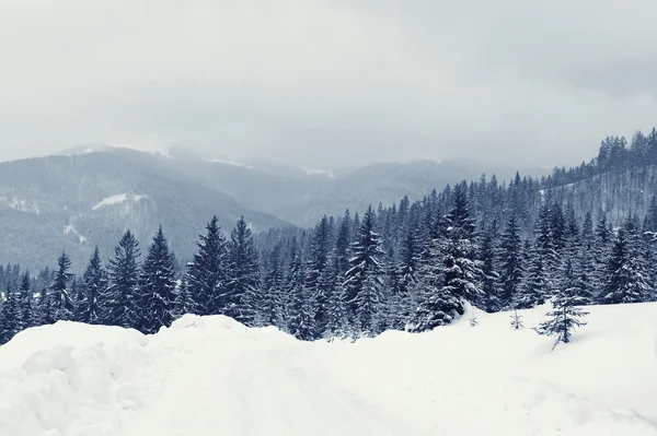 Paesaggio invernale — Foto Stock