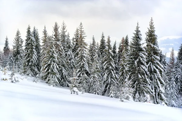 Winterlandschap — Stockfoto