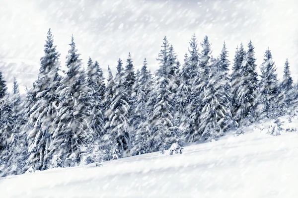 Winter landscape — Stock Photo, Image