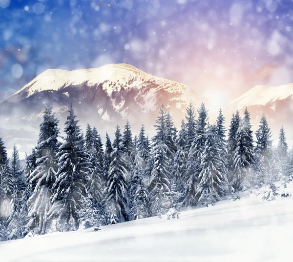 Winterlandschap — Stockfoto