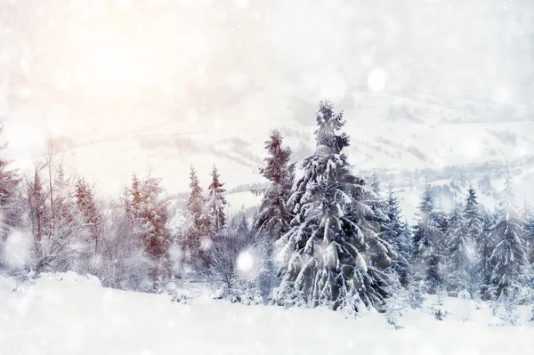 Paesaggio invernale — Foto Stock