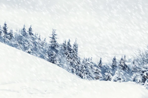 Paesaggio invernale — Foto Stock