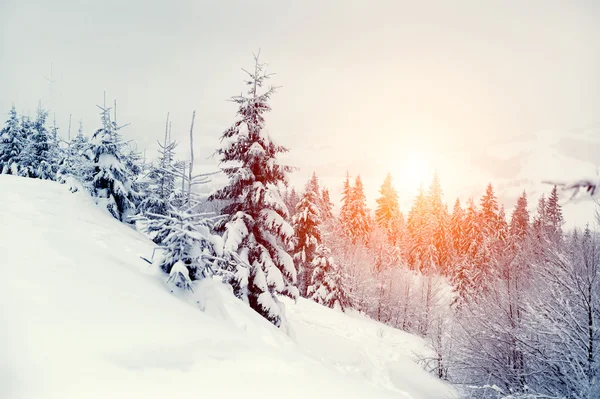 Paesaggio invernale — Foto Stock