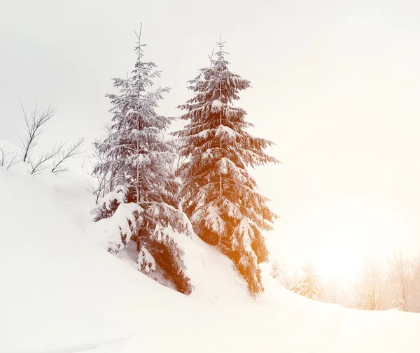 Paesaggio invernale — Foto Stock