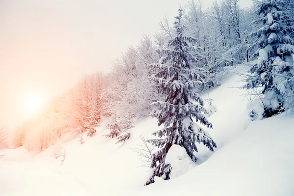 Paesaggio invernale — Foto Stock