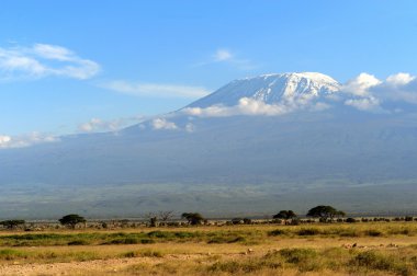 Kilimanjaro Dağı