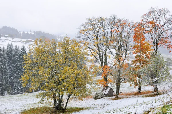 Primeira neve — Fotografia de Stock