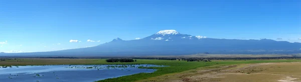 Montagna del Kilimangiaro — Foto Stock