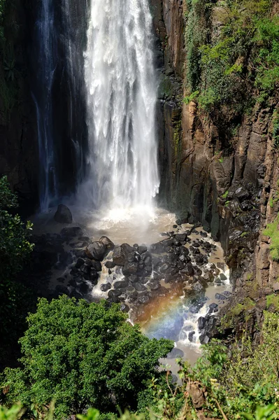 Falls di grande Thomson — Foto Stock