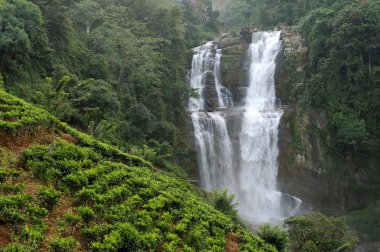 Ramboda Sri Lanka 'ya düştü.