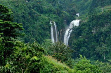 Sri Lanka 'da güzel bir şelale
