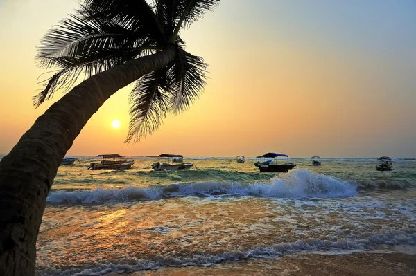 Tropical sunset — Stock Photo, Image