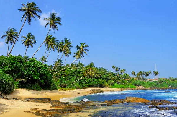 Tropical beach — Stock Photo, Image