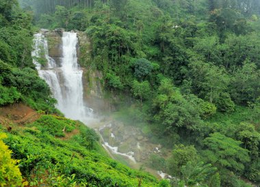Ramboda Sri Lanka 'ya düştü.
