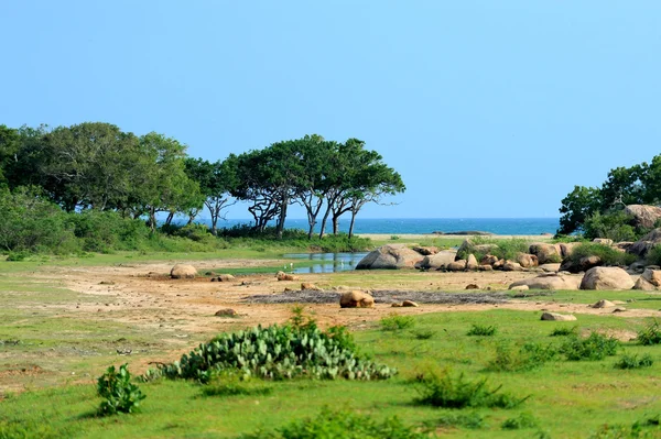 Tropical beach — Stock Photo, Image