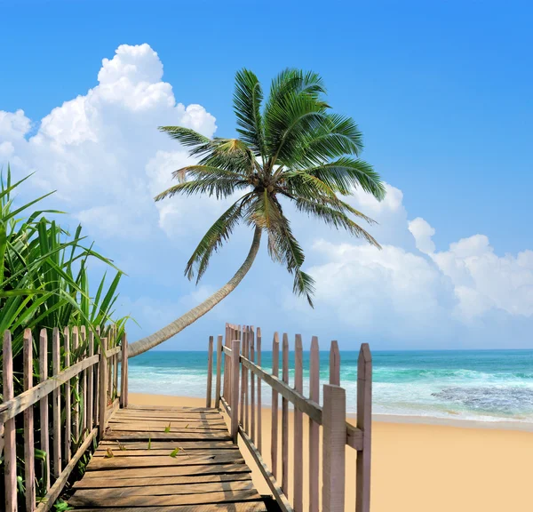 Holzplattform neben tropischem Strand — Stockfoto