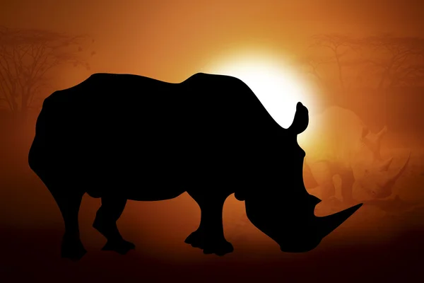 Silueta nosorožce v západu slunce — Stock fotografie