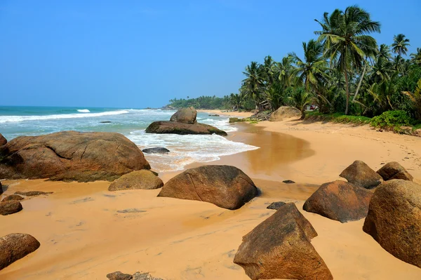 Tropical beach — Stock Photo, Image