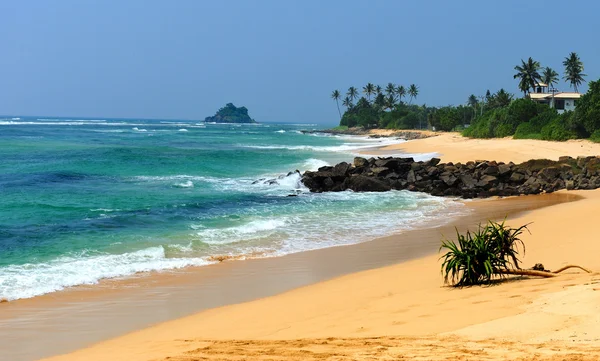 Playa tropical — Foto de Stock